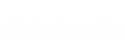 Shopify Partner